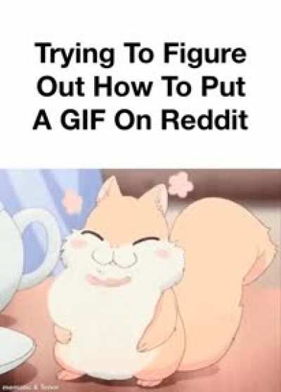 Please don’t get mad at me
