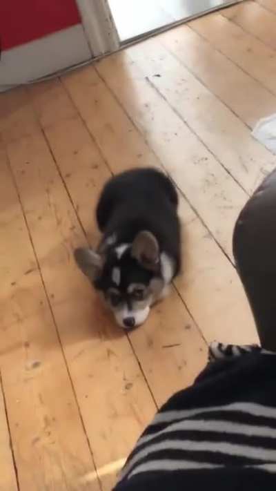 A little shy sometimes ?