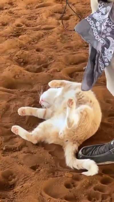 Slacking off at work ?