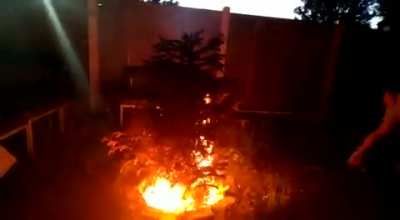 Lighting a Christmas tree on fire