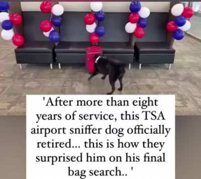 Retirement