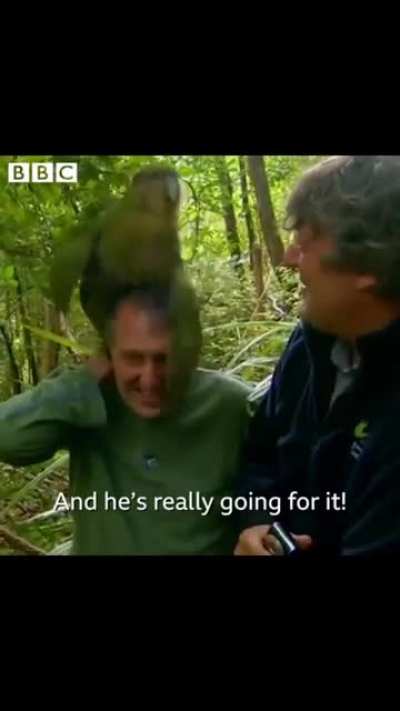 When nature tells you to mate…you mate.