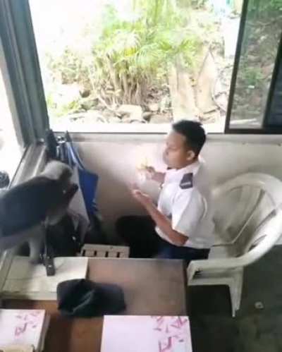 He dindu nuttin..