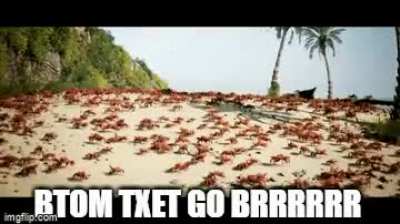 tpo txet
