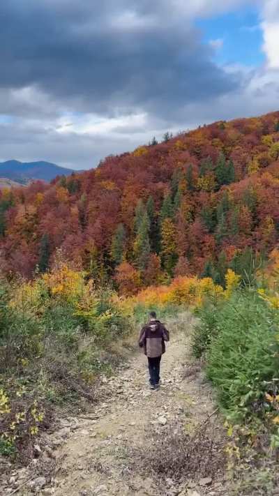 ? Autumn in Romania’s Carpathian mountains [OC]