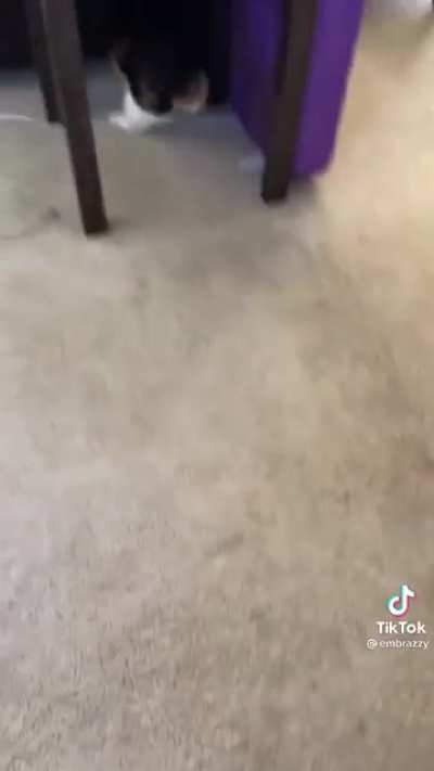 Just give her a second she’s just loading