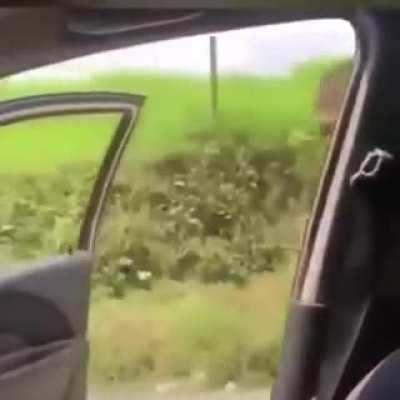 Trying to TikTok.