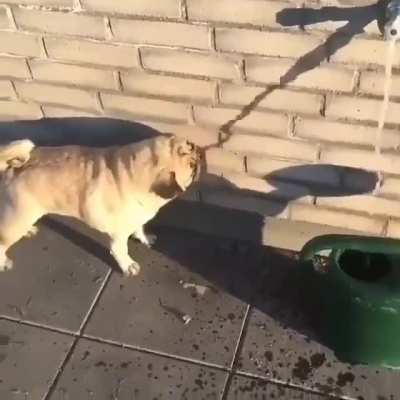 just see the clip