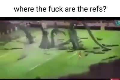 Title again