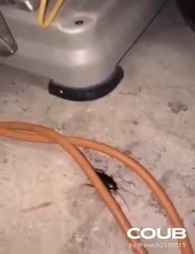 Yes he wants to pl-