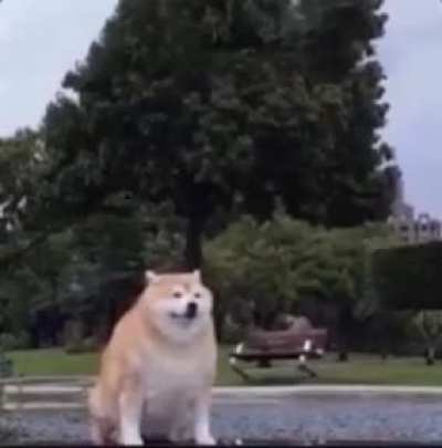 good bye comrades