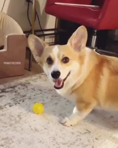 What a good boy...