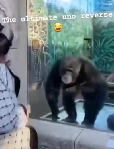Nice performance ?