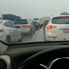 Guy gets out of car during a long traffic jam to pet a dog.