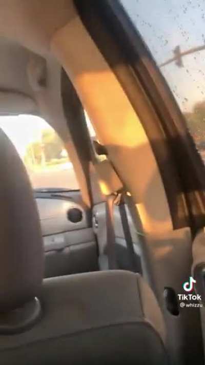 Instant karma