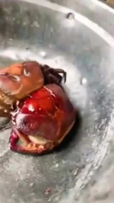 ? Peeled crabs