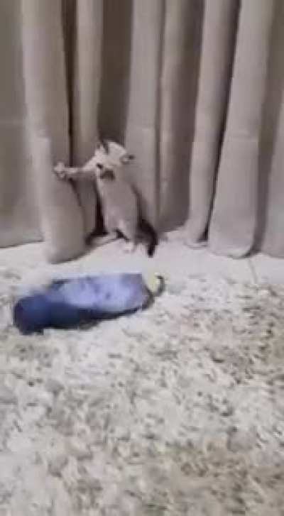 The fear in his eyes