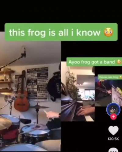Frogs