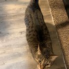 Somebody’s HUNGRY