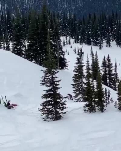 Swinging at the top of a tree
