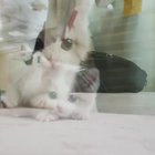 Wait!!! Are You Filming me?? :)