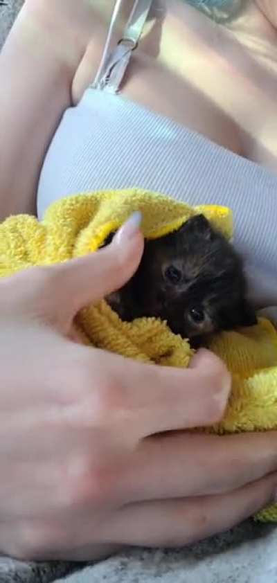 2 weeks old little girl ?