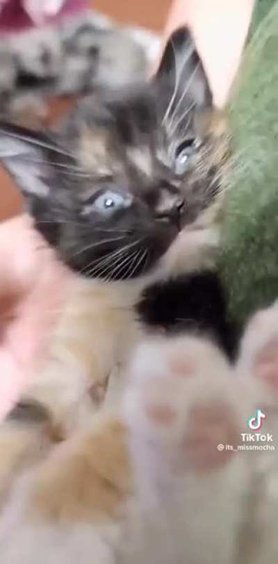 I literally felt my heart melt as she nodded off ?