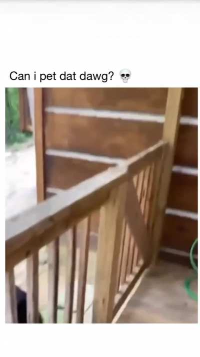 She must pet that dawwwwg.... ??