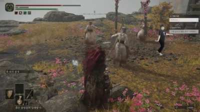 Play Elden Ring