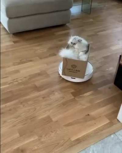 They see me rollin, they hatin... ? ?