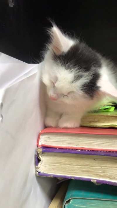 When you didn't want to sleep at night and you had to work in the morning.?
