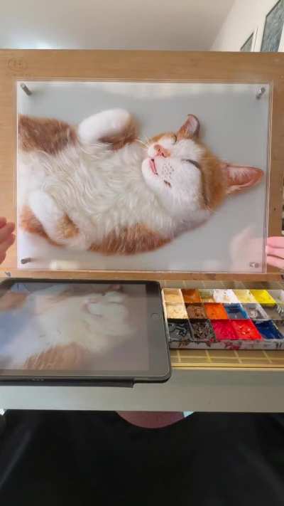 I like the pet portrait I draw ?