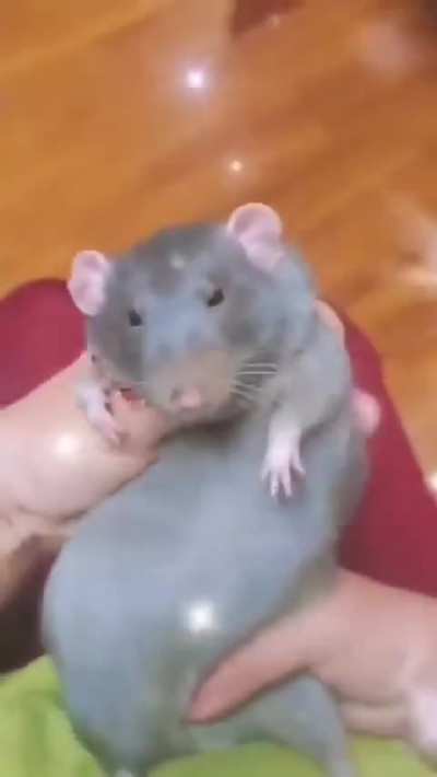 When the hand that feeds you also makes you groove?