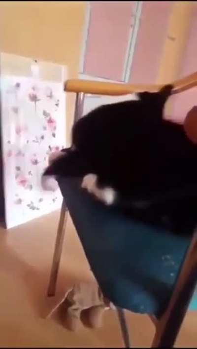 Smack