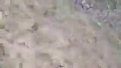 Afghani camel jerk