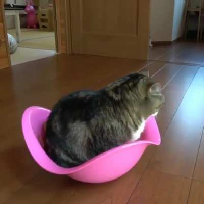 If I fits, I rocks
