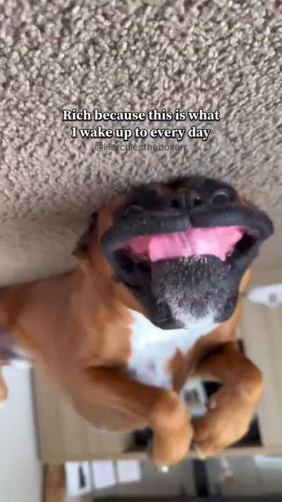 How he says good morning
