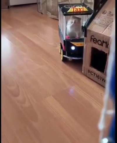 Rat learned to drive and Navigates through an obstacle course