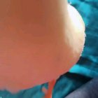 Baby duck