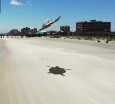 Turtle magic