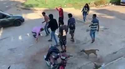 WTF...