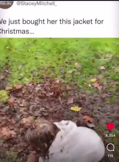 Kid got a new jacket for Christmas?