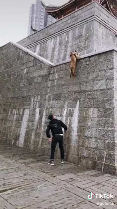 Good jumpy boi