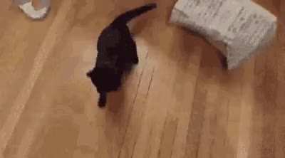 Surprise!!