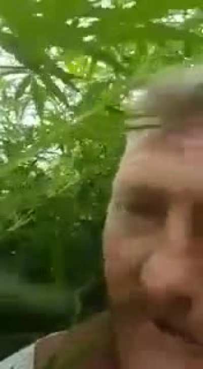 Not even one tomato