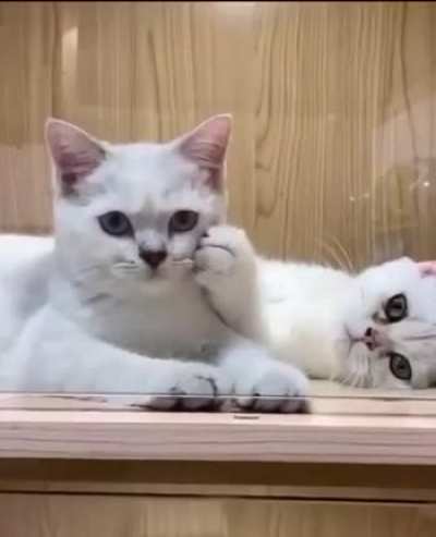 ?