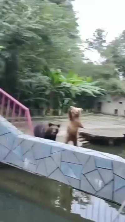 That is a man in a costume. Change my mind ?