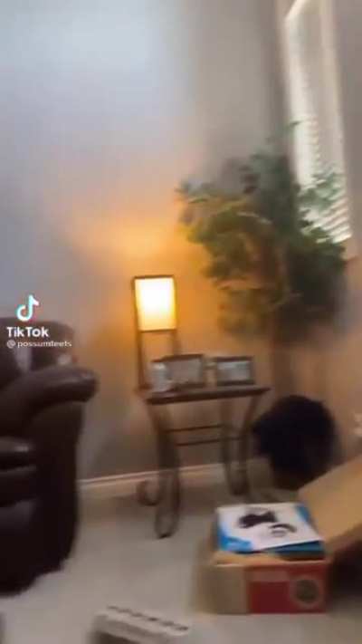 Based wii ??