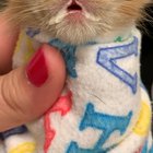A milk drunk Jellybean