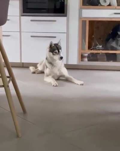 I just wanted to take a nap
